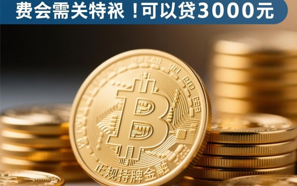 可以贷3000元的贷款平台有哪些呢，哪个容易下款