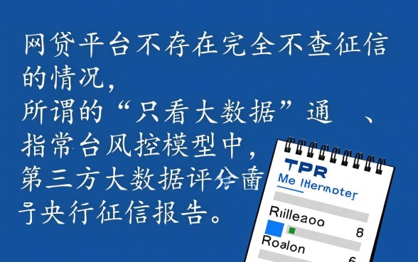 只看大数据不查征信的网贷有哪些平台，2026容易下款吗