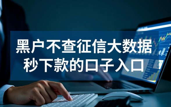 黑户不查征信能秒下款吗，口子入口在哪里