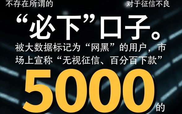 网黑借5000有必下的口子吗，网黑5000怎么借必下款？