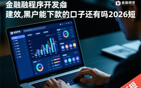 黑户能下款的口子还有吗，2026年短期黑户贷款哪里有