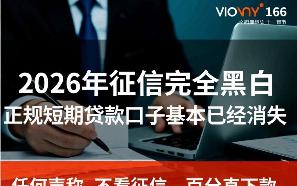 黑户能下款的口子还有吗2026，短期不用审核哪里借？