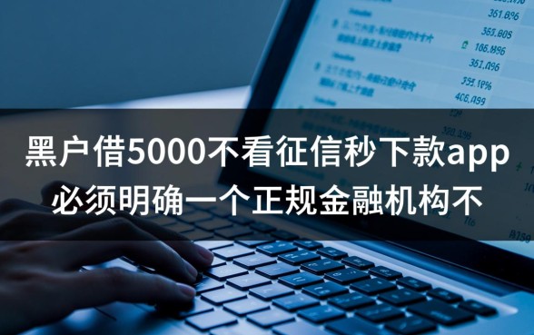 黑户借5000不看征信秒下款，哪个app是真的能下款的？