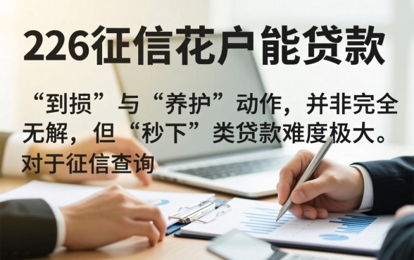 征信太花秒下的贷款2026年能借吗，征信花了怎么过审？