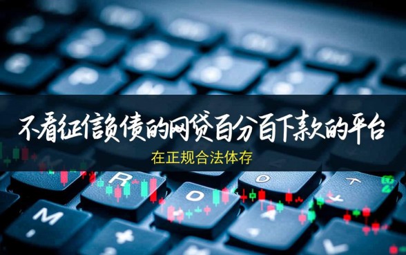 不看征信负债的网贷百分百下款，有哪些平台？