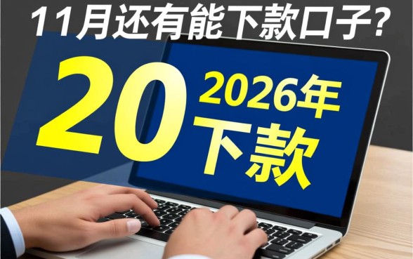 2026年11月还有能下款的口子吗，急需钱哪里容易通过
