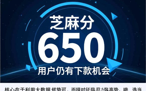 征信花了芝麻分650能下款吗，哪里有容易通过的口子