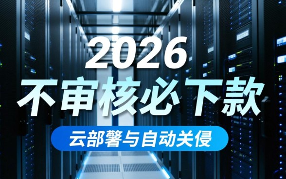 2026年不审核必下款的平台是什么，2026年秒下款的口子有哪些