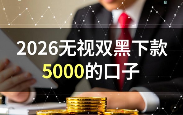 2026无视双黑下款5000的口子有哪些，真的能下款吗？