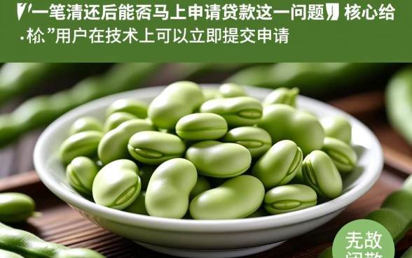 芸豆分一笔清还后能否马上申请贷款，还清后多久能借出来？