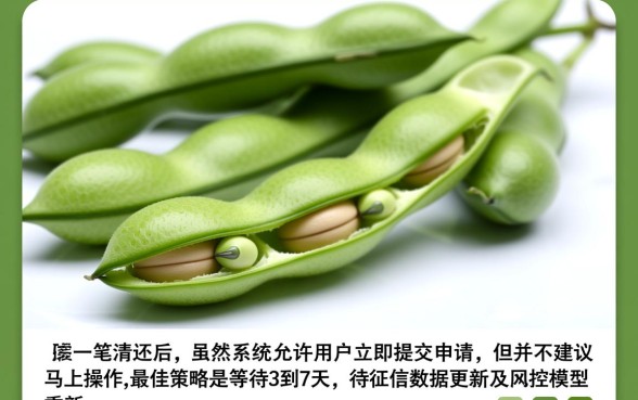 芸豆分一笔清还后能否马上申请贷款，还清了还能借吗