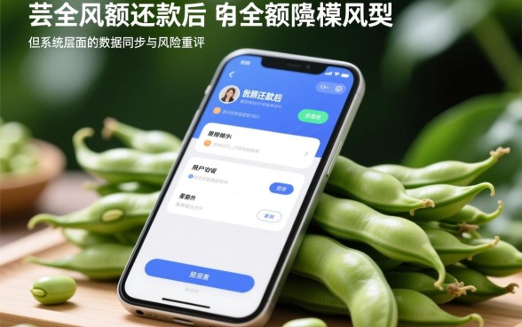 芸豆分一笔清还后能否马上申请贷款，能下款吗？