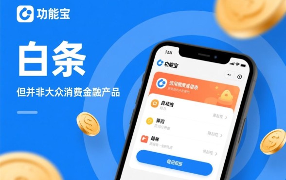 借贷宝的白条是不是真的那么受欢迎，借贷宝白条安全吗