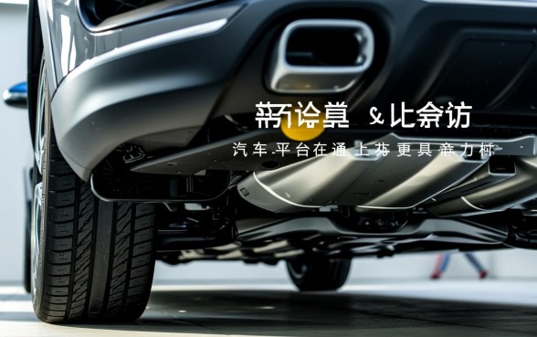 哪些汽车平台在通过性上更具竞争力,越野性能谁最强?