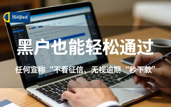 有没有黑户也能轻松通过的贷款口子，黑户怎么借