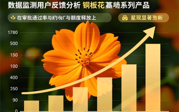 铜板花新口子放水了吗，铜板花怎么申请容易下款？