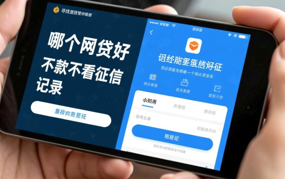 哪个网贷好下款不看征信记录？，2026容易通过的平台？