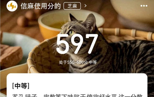 芝麻信用597可以贷哪个软件的钱，哪个容易通过？