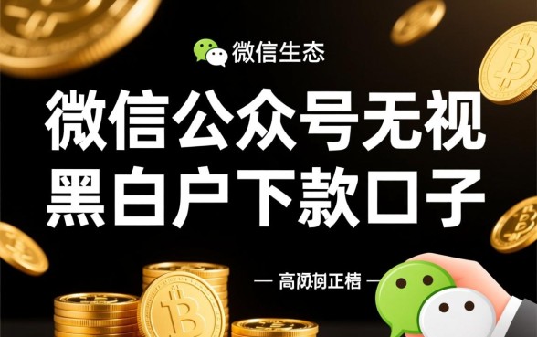 微信公众号无视黑白户下款口子是真的吗，2026最新入口在哪里？