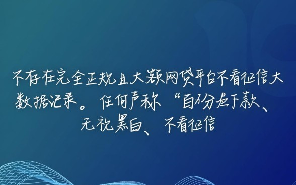 哪个网贷平台不看征信大数据记录的，不看征信能下款的口子