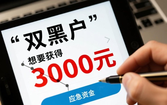 双黑户怎么贷款3000元，有哪些靠谱秒下款平台