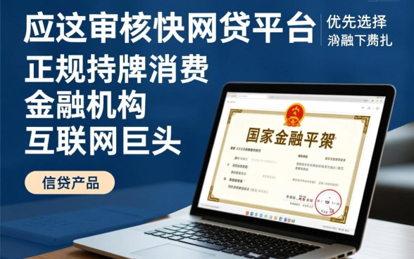 容易通过的网贷平台有哪些，审核快秒下款口子