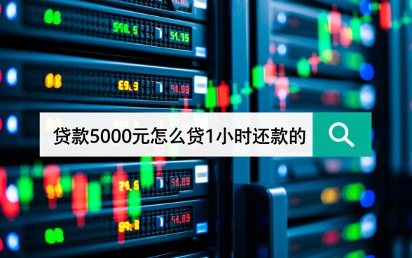 贷款5000元怎么贷1小时还款的，哪里申请秒下款？
