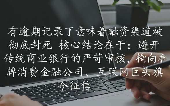 征信有过逾期在哪个平台可以贷到款，哪里容易通过？