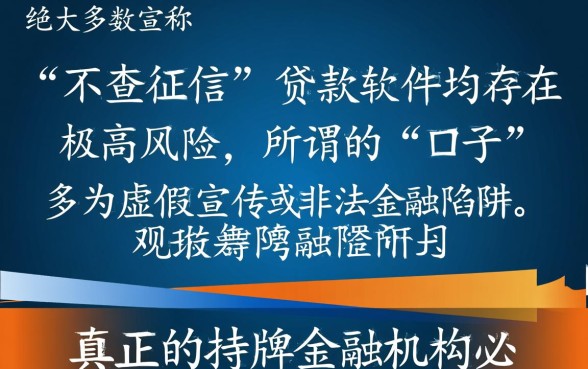 不查征信口子在哪下载的软件是真的,不查征信口子安全吗