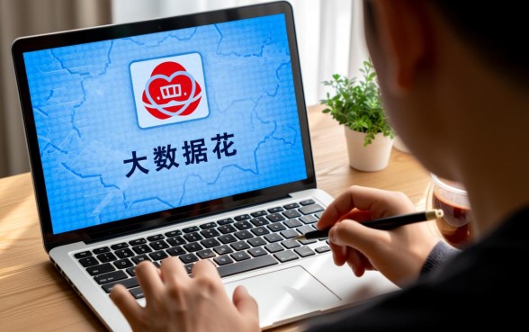 大数据花无逾期能下款吗，大数据花了哪里能借钱