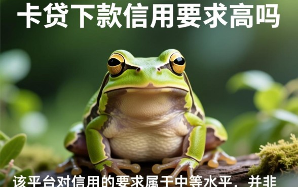 小蛙卡贷下款对信用要求高吗，征信不好能下吗