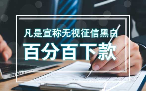 无视黑白的贷款口子202612月是真的吗，哪里能申请