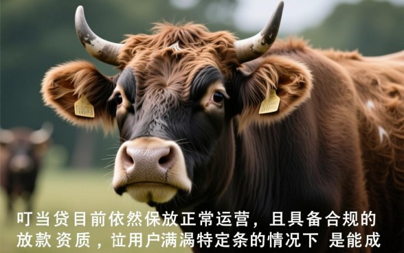 卡牛叮当贷现在能成功下款吗，最新口子审核容易通过吗