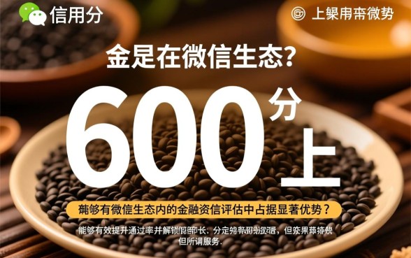 芝麻600分以上无视黑白微信口子怎么申请，额度多少？