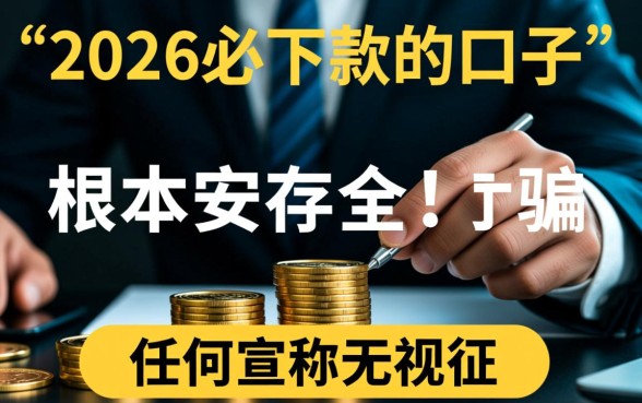 2026必下款的口子真的安全吗，2026放水口子怎么申请
