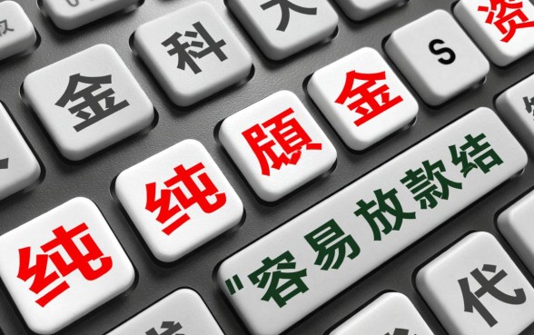 2026容易放款的大额网贷有哪些？哪个平台通过率高？