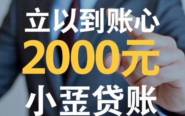 2000元的小贷可以立即到账吗，小额贷款哪个平台秒到账？