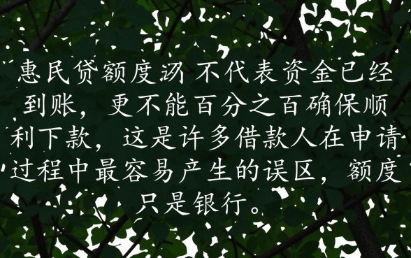惠民贷有额度就能确保顺利下款吗，为什么有额度借不出来