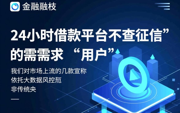 24小时借款平台不查征信有哪些，哪个平台下款快又稳