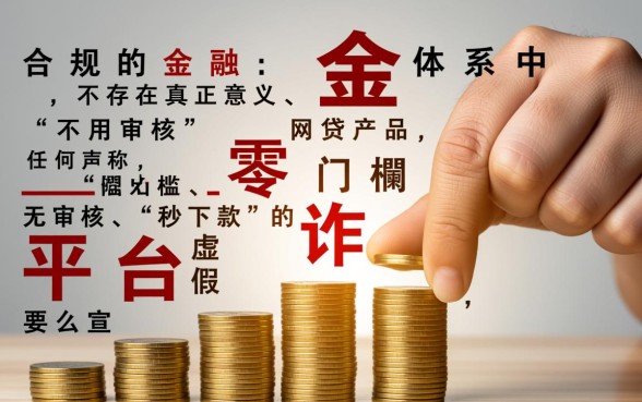 什么网贷不用审核就能通过的，有哪些不用审核的网贷平台？