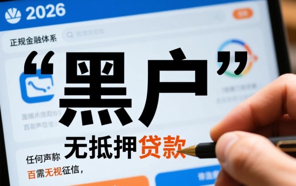 2026可以黑户贷的网贷有哪些，真的能下款吗