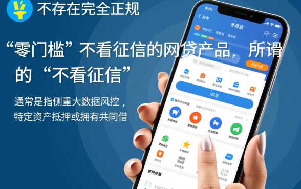 网上有什么网贷不看征信就能看的，哪里能借到不看征信的贷款？