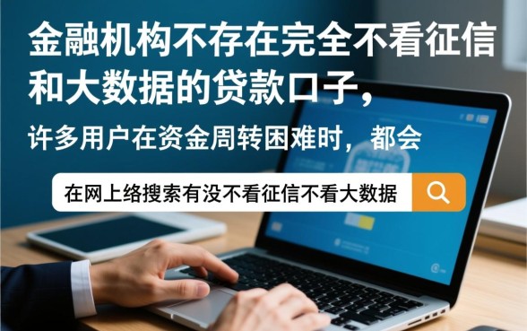 有没有不看征信不看大数据的口子，2026哪里申请容易过