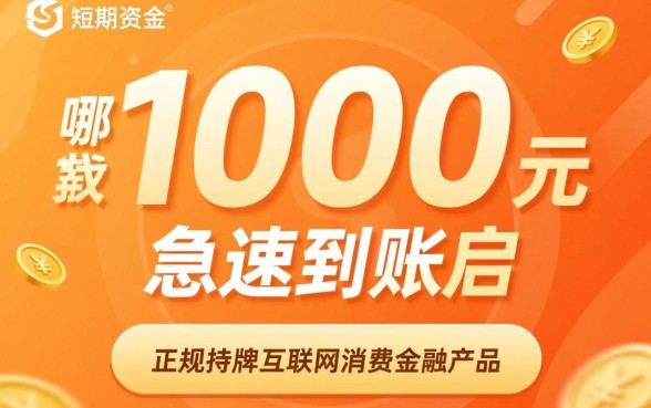 哪里可以贷款1000元急速到账，1000元急速贷款哪里借靠谱？