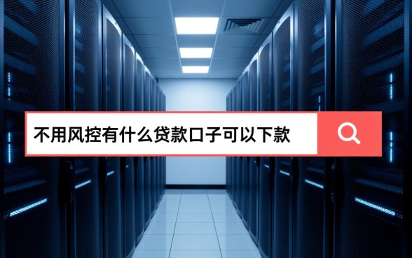 不用风控有什么贷款口子，2026最新容易下款吗？
