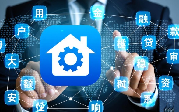 什么软件可以贷款100,000，哪个正规平台通过率高？