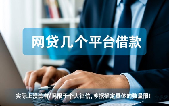 一个人可以网贷几个平台借款，一个人能同时在几个平台借款