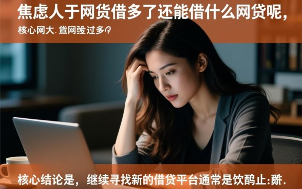 网贷借多了还能借什么网贷呢，大数据花了还能借吗？