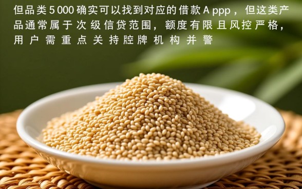 有不有芝麻分500的借款app，哪个容易下款通过率高