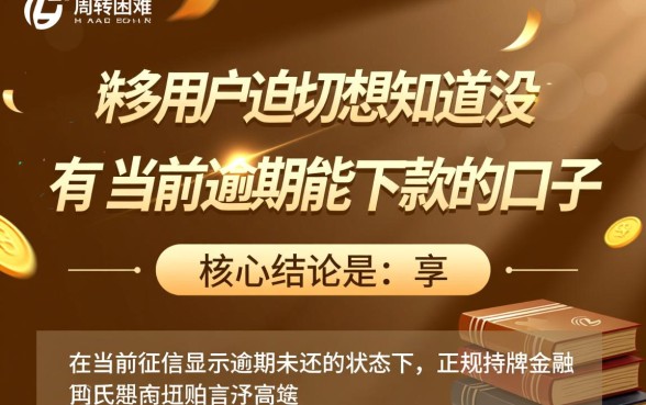 有没有当前逾期能下款的口子，2026黑户秒下款口子有哪些